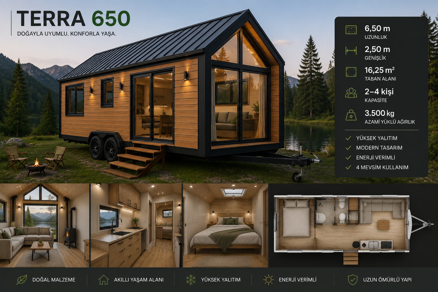 Terra 650